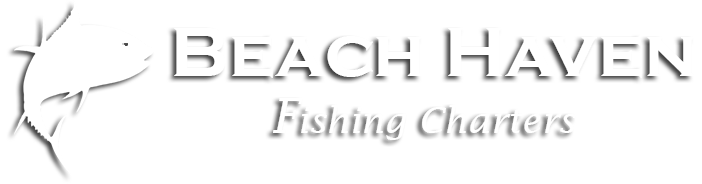 Beach Haven Fishing Charters Logo